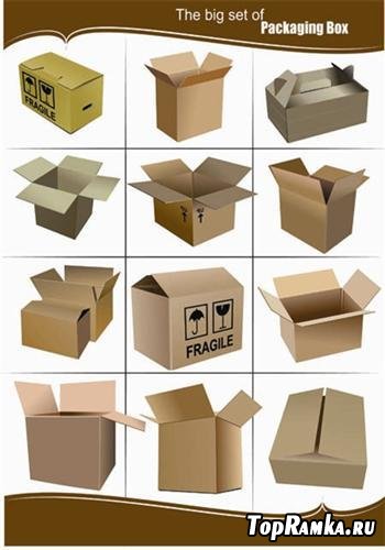 Big Set of Packaging Box  