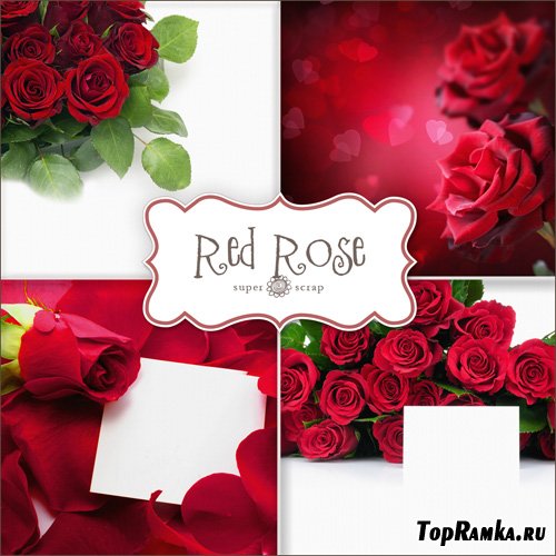 Textures - Red Roses Backgrounds