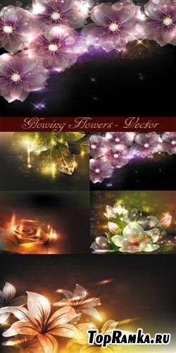 Glowing flowers - vector