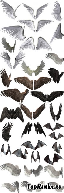 Cliparts - Big Collection Wings