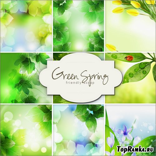 Textures - Green Spring