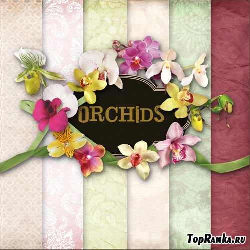 Scrap-set - Orchids
