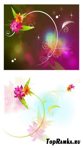 Transparent floral backgrounds