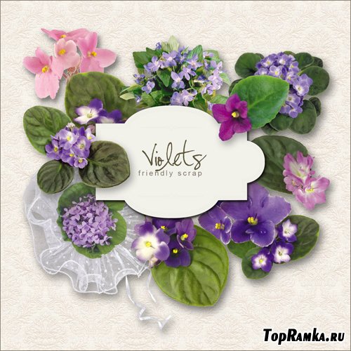 Scrap-kit - Violets