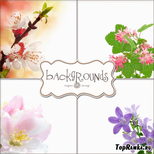 Textures - Flowers Backgrounds #18