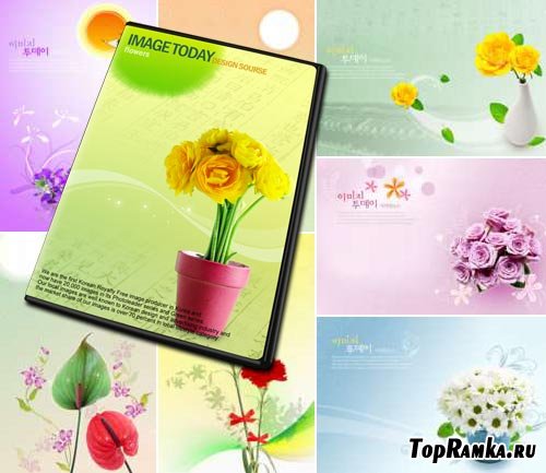 ImageToday Design Source - Flowers