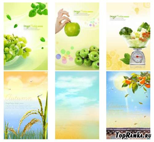 ImageToday Design Source - Fruits