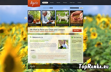 Agrio Agriculture Website Free Template