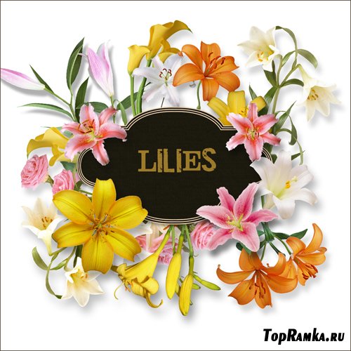 Scrap-kit - Lilies Set