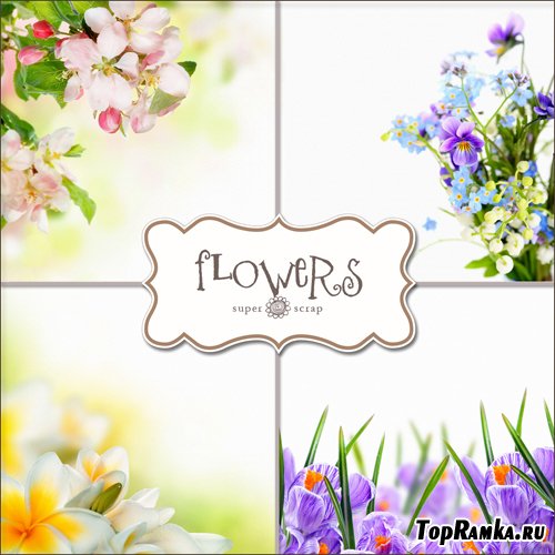 Textures - Flowers Backgrounds #21