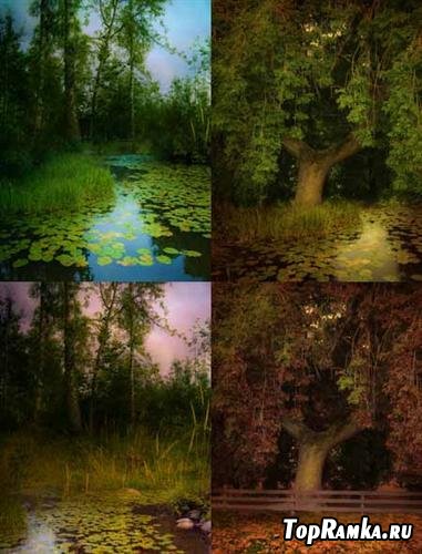 Wood and pond (backgrounds)