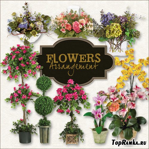 Scrap-kit - Flowers Arrangement