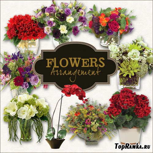 Scrap-kit - Flowers Arrangement II