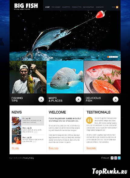 Big Fish Website Free Template