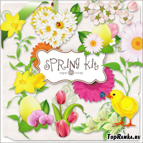 Scrap-kit - Flowers Spring Elements