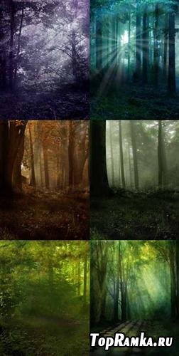 Magic grove backgrounds