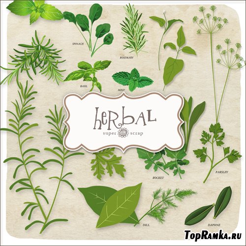 Scrap-kit - Herbal Set