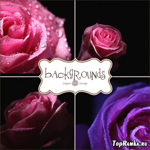 Textures - Dark Roses Backgrounds