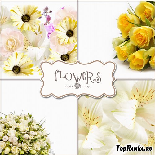 Textures - Flowers Backgrounds #24