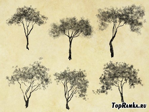 198 Cutout Trees (PSD)