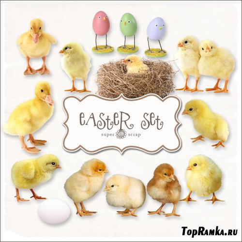 Scrap-kit - Easter Chickens