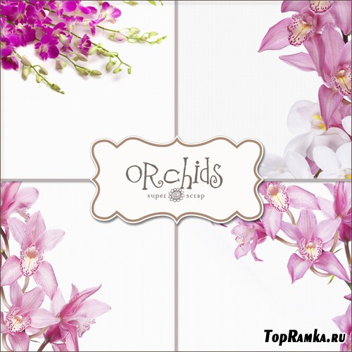 Textures - Orhids Backgrounds #1