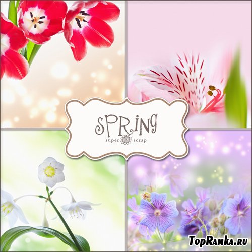 Textures - Spring Backgrounds #16