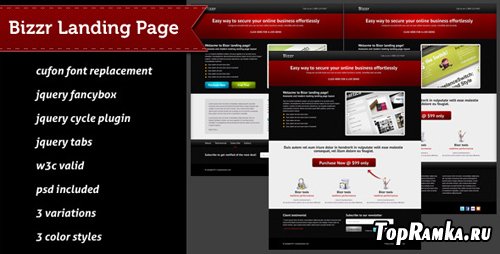 Bizzr Landing Page