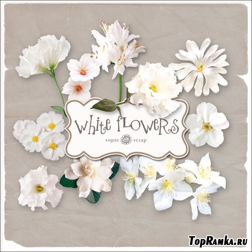 Scrap-kit - White Flowers Set