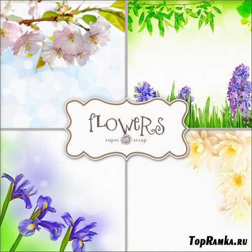 Textures - Flowers Backgrounds #26