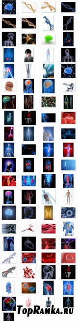 StockMix of Human Anatomy in 3D Renders 80xJPGs