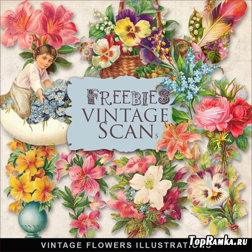 Scrap-kit - Vintage Flowers Illustrations #3