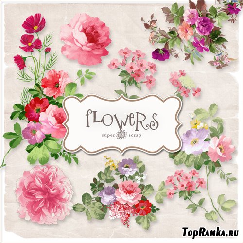 Scrap-kit - Vintage Flowers