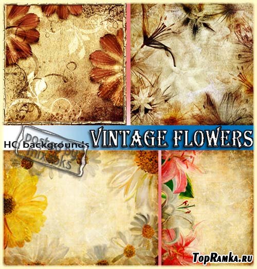   | Vintage Flowers (UHQ clipart)