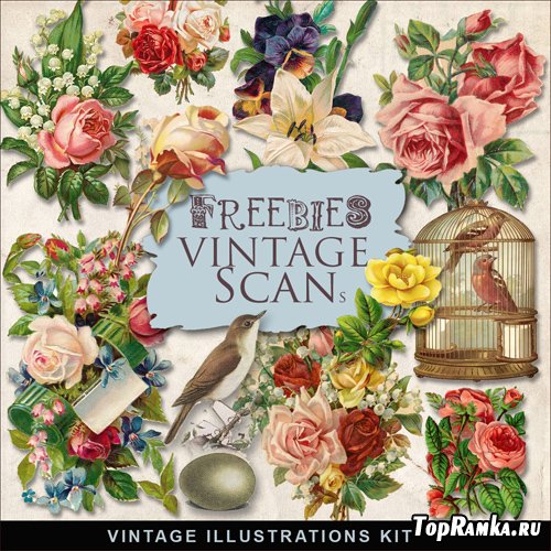 Scrap-kit - Vintage Flowers Illustrations #5