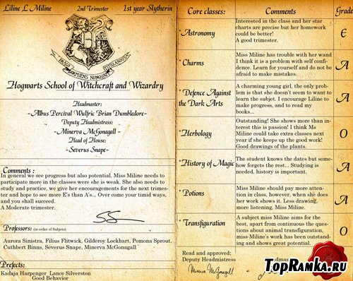 Hogwarts reportcard PSD