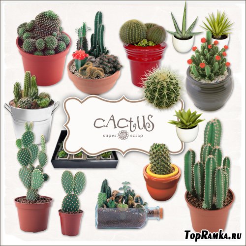 Scrap-kit - Cactus Set