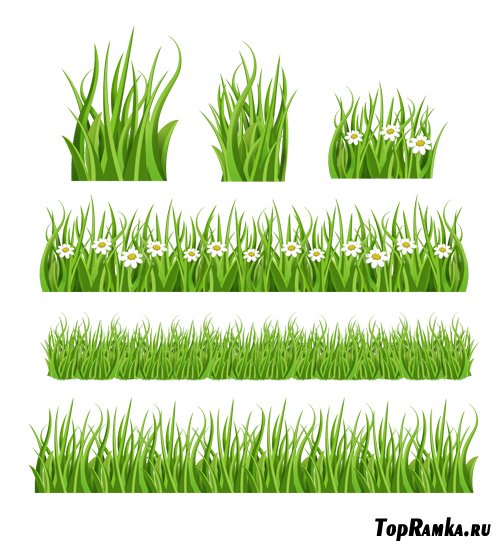 Green Grass PSD