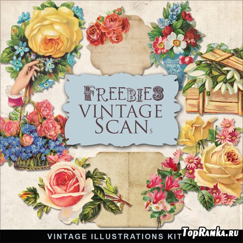 Scrap-kit - Vintage Flowers Illustrations #10