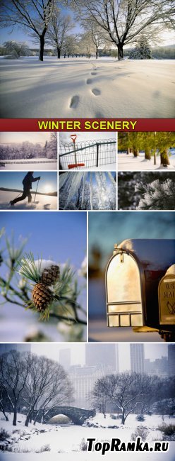 Stock Photo - Winter Scenery