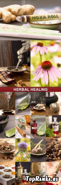 Veer Fancy - Herbal Healing