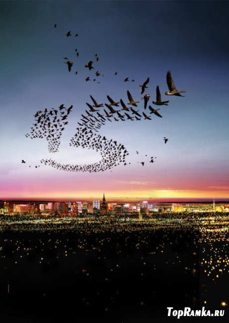 Birds over a night city psd