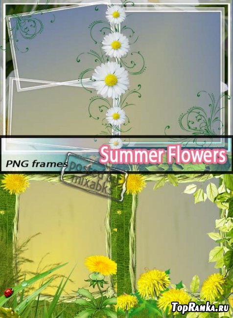   | Summer Flowers (PNG frames)