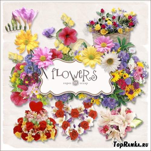 Scrap-kit - Summer Flowers