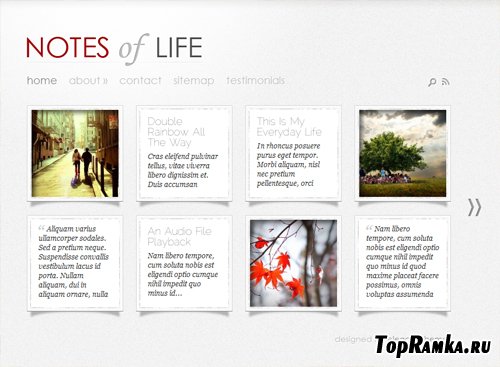 Daily Notes v3.5 ElegantThemes Premium WordPress Theme