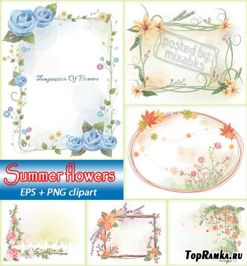    | Summer Flowers (EPS + PNG clipart)
