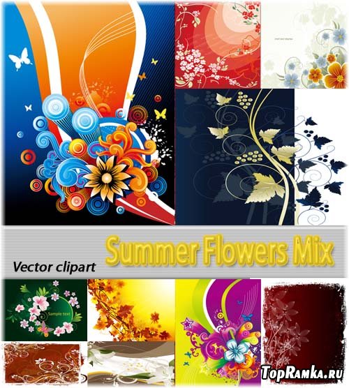     | Vector Summer Flowers Mix