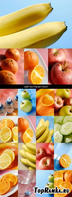 Stock Images - GWF103 Fresh Fruit