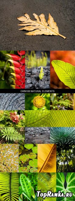 Stock Images - GWN108 Natural Elements