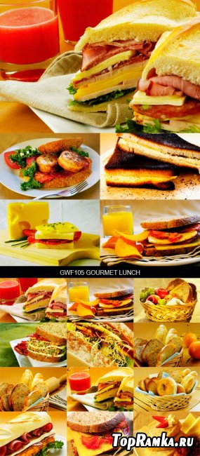 Stock Images - GWF105 Gourmet Lunch